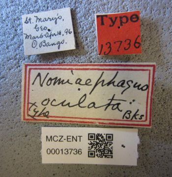 Media type: image;   Entomology 13736 Aspect: labels